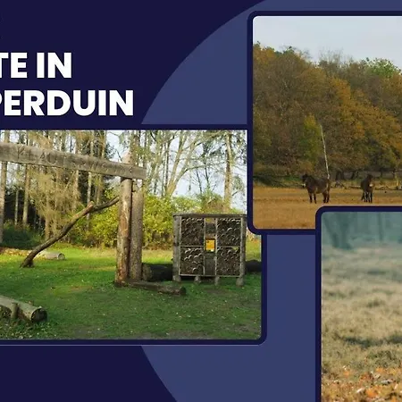 Modern With Fast Wifi And Parking Oss